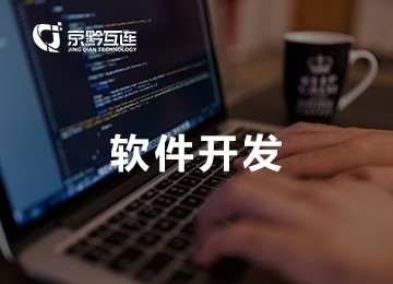 軟件開發